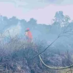 Karhutla (Foto: Dok BNPB)
