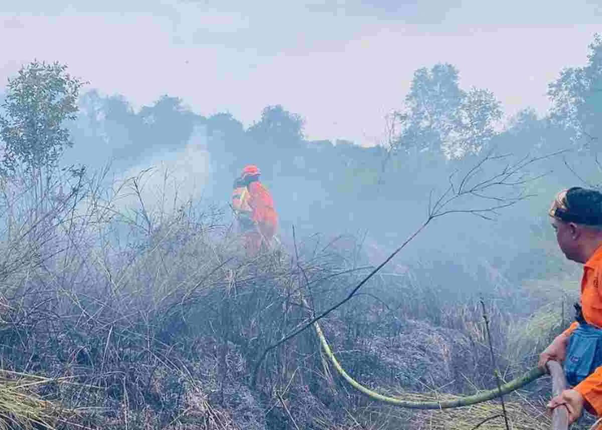 Karhutla (Foto: Dok BNPB)